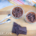 Mousse-au-Chocolat-vegan